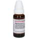 Myrtillocactus D1 DHU Dil. 20 ml