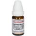 Natrium sulfuricum D4 DHU Glob. 10 g