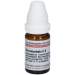 Nux moschata C6 DHU Glob. 10 g