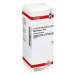Nux vomica D12 DHU Dil. 50 ml