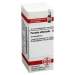 Paeonia officinalis D12 DHU 10g Glob.