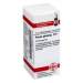 Panax ginseng D6 DHU 10g Glob.