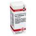 Piper methysticum D12 DHU 10g Glob.