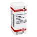Plumbum metallicum C30 DHU 10g Glob.