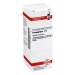 Podophyllum D4 DHU 20ml Dil.
