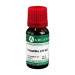 Pulsatilla Arcana LM 12 Dilution 10ml