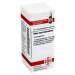 Rhus toxicodendron C1000 DHU 10g Glob.
