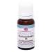 Rhus toxicodendron D6 Spagyra Globuli 10g
