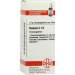 Rumex C12 DHU 10g Glob.
