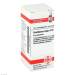 Sambucus nigra D6 DHU Glob. 10g