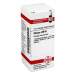 Silicea LM VI DHU 10ml Dil.