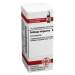 Solidago virgaurea D12 DHU Glob. 10 g