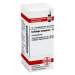 Solidago virgaurea D2 DHU Glob. 10 g