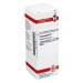 Taraxacum D1 DHU 20ml Dil.